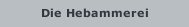 Die Hebammerei